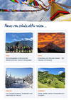 Newsletter kostenlos anfordern