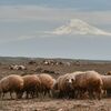 Wildes Armenien - Bergpanoramen, Schluchten und Klöster