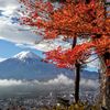Im Takt der Inseln – von Südjapan bis zum Fuji