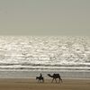 Reisebaustein: Essaouira und Atlantikküste Marokkos